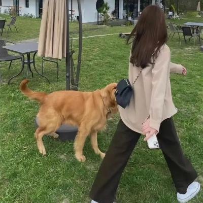 暴乱之后