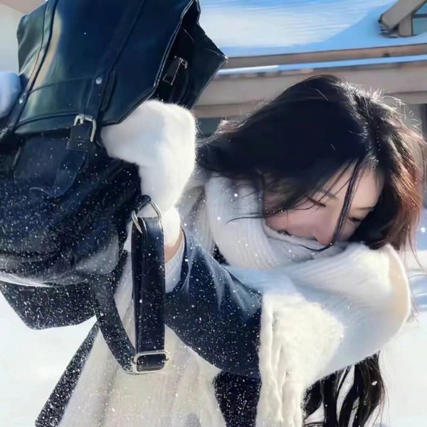 名门淑女